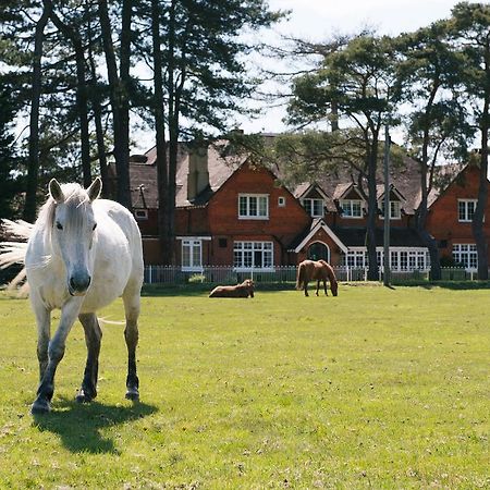 Beaulieu Hotel Lyndhurst Dış mekan fotoğraf
