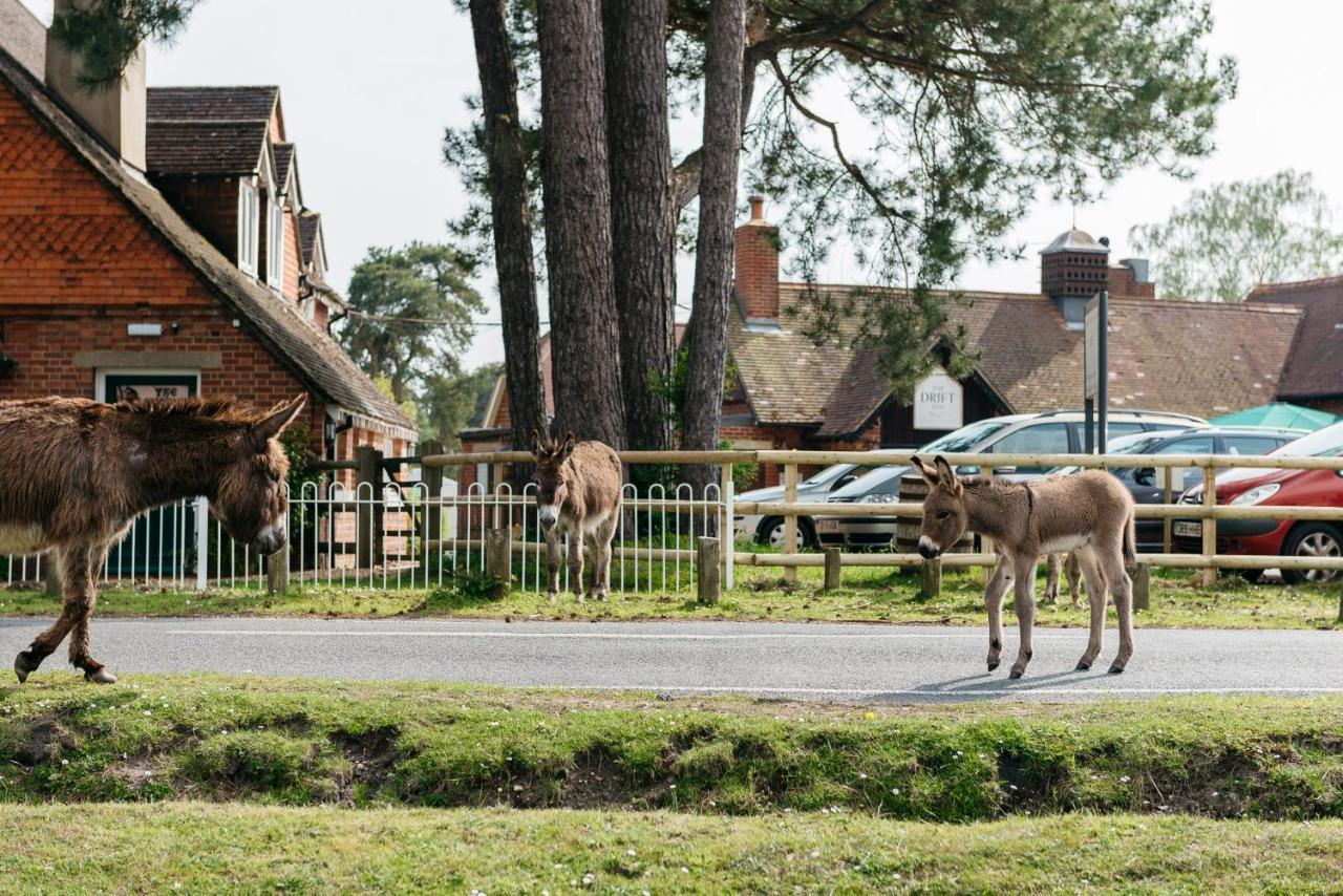 Beaulieu Hotel Lyndhurst Dış mekan fotoğraf