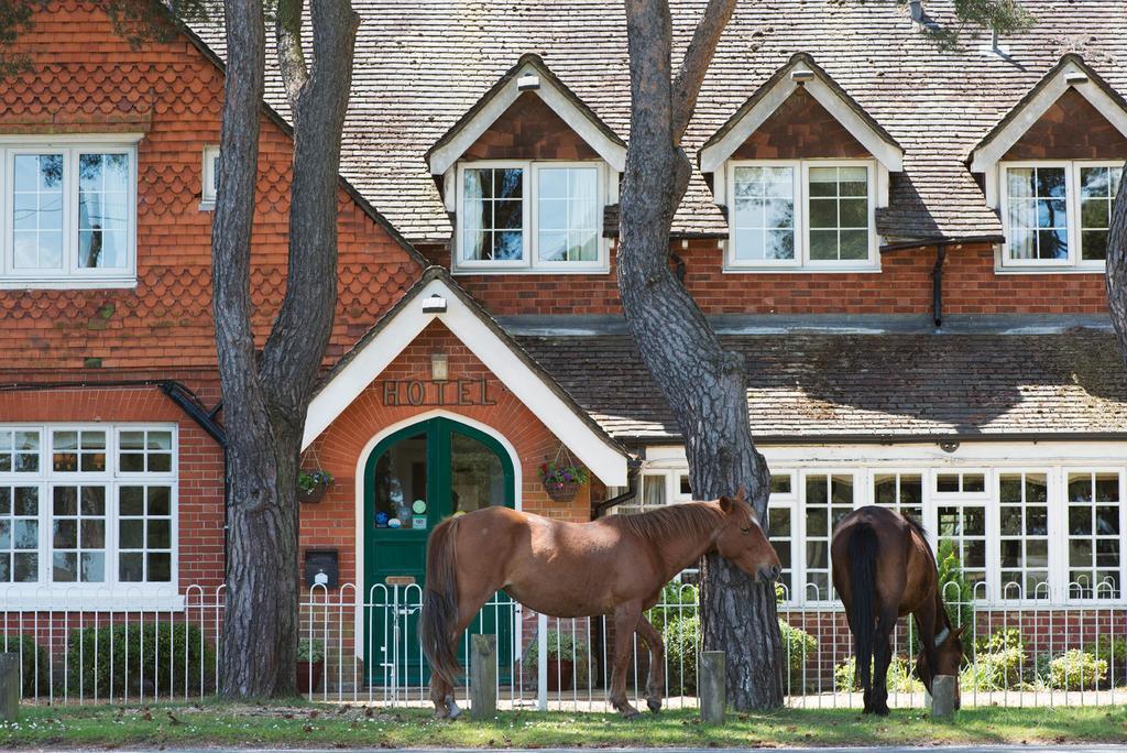 Beaulieu Hotel Lyndhurst Dış mekan fotoğraf